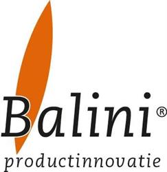 Balini Produktinnovatie