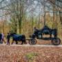 Rouwkoets Nienoord Hillig Meer