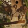 Birdwise