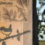 Birdwise