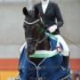 Dutch Dressage Connection BV