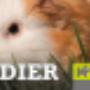 Dierenboulevard Jan de Roo