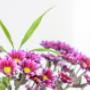 Chinese Massage Center, Vitality4u