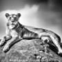 ByMarlein Photography & Graphic Design