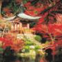 40x50 cm japanse tempel