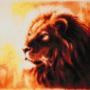 40 x 50 cm proudlion