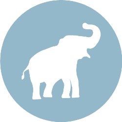 Humming Blue Elephant Massagetherapie & Lichaamsgerichte Coaching