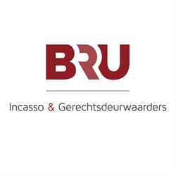 BRUwise BV