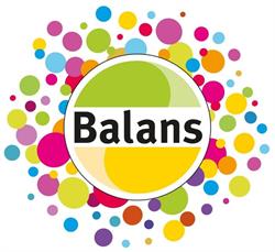 Balans Buro Vrijwilligerswerk