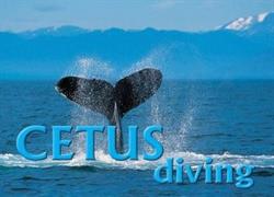 Cetus Maintenance