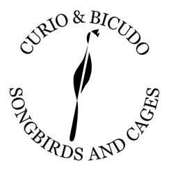 Curio & Bicudo