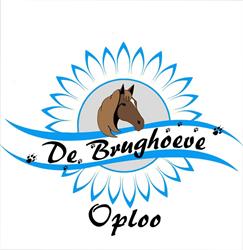 Fok- en Trainingsstal de Brughoeve