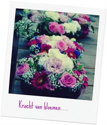 de kleine Turf