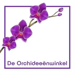 De Orchideeënwinkel