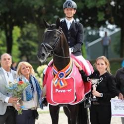Driessen Dressage Horses B.V.