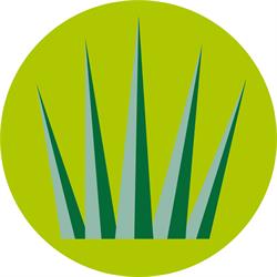 Greenfields BV
