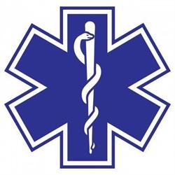 Vereniging voor Eerste Hulp Bij Ongelukken MEDIC First Aid Nederland