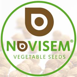Novisem BV