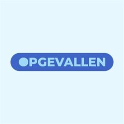 Opgevallen