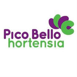 Pico Bello Hortensia vof