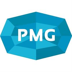 Pulse Media Group