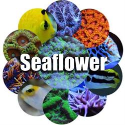 Seaflower