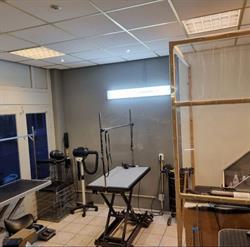 Trimsalon Ramona Vlissingen