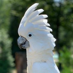 Zoo Veldhoven