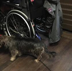 Stichting Samen Onbeperkt