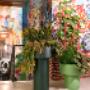 SERVICES JOUW PARTNER IN GROEN