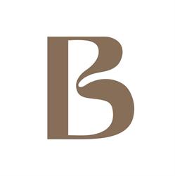 Beau Tilburg BV