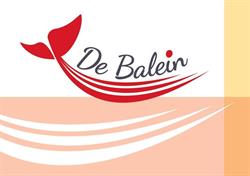 Oudervereniging De Balein
