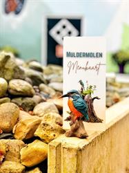 De Muldermolen