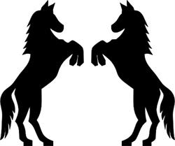 Rijvereniging en Ponyclub Hynstewille