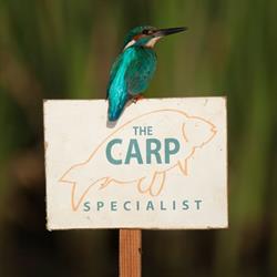 The Carp Specialist