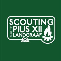 Scouting Pius XII