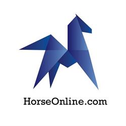 Rob van Boxtel Equestrian