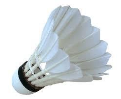 Badmintonvereniging Volant '90