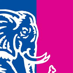 Pink Elephant