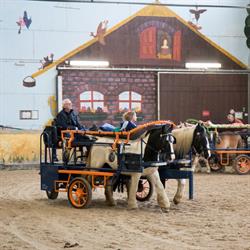 Stichting Paardrijden Gehandicapten IJsselmuiden De Oosterholtruiters