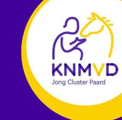 Stichting Paard