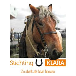 Stichting Klara