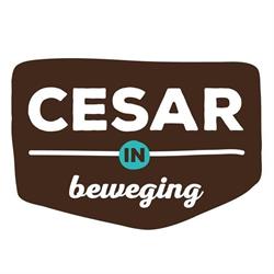 Cesar in Beweging BV