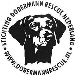 Stichting Dobermann Rescue Nederland