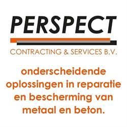 Perspect Group BV