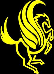 Pegasus ICT Dienstverlening