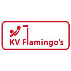 Korfbalvereniging Flamingo's