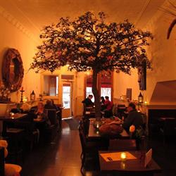 The Square food & drinks