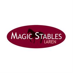 Magic Stables