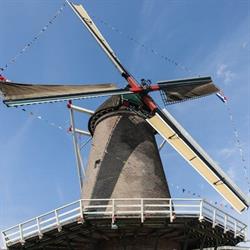 De Leeuw